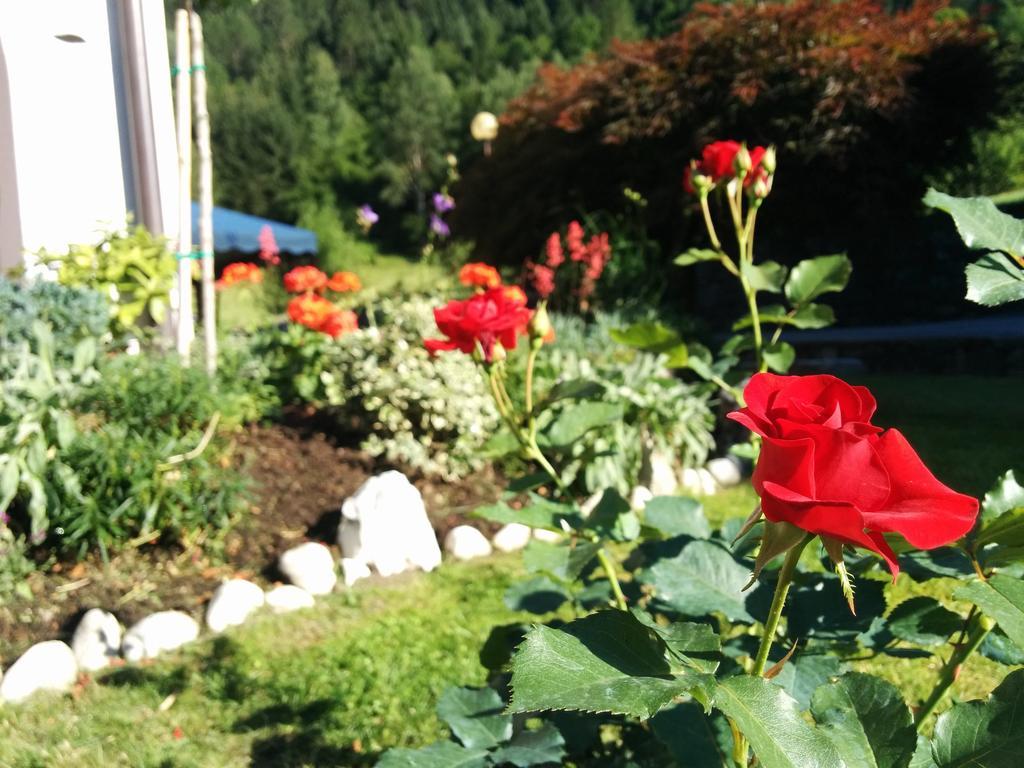 Villetta Val Di Sole Commezzadura Exterior photo