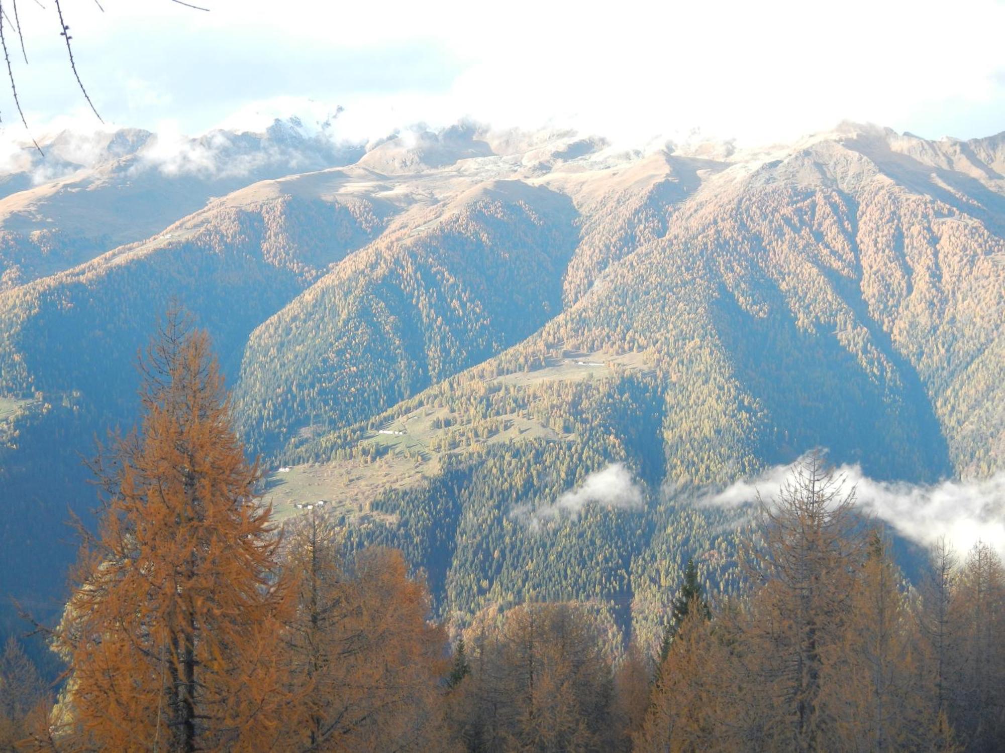 Villetta Val Di Sole Commezzadura Exterior photo